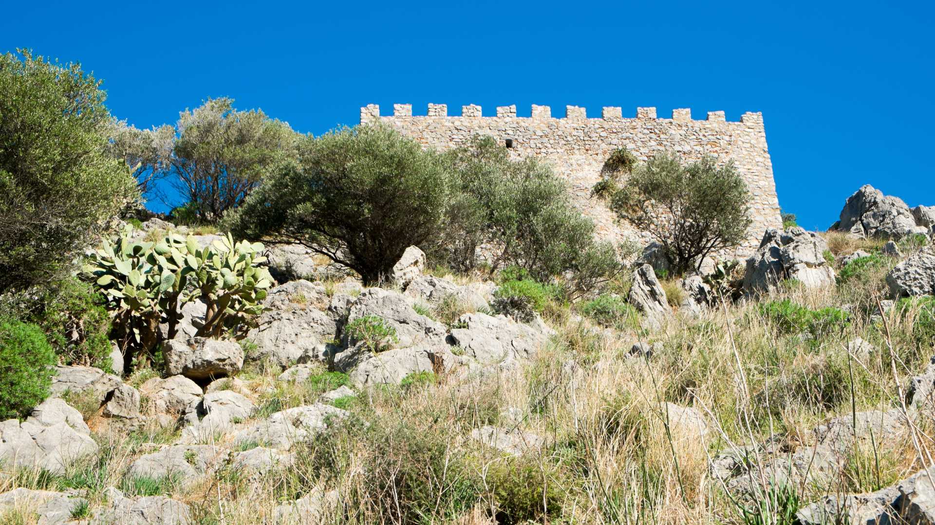 Duomo di Cefalù: i mosaici normanni e la visita guidata